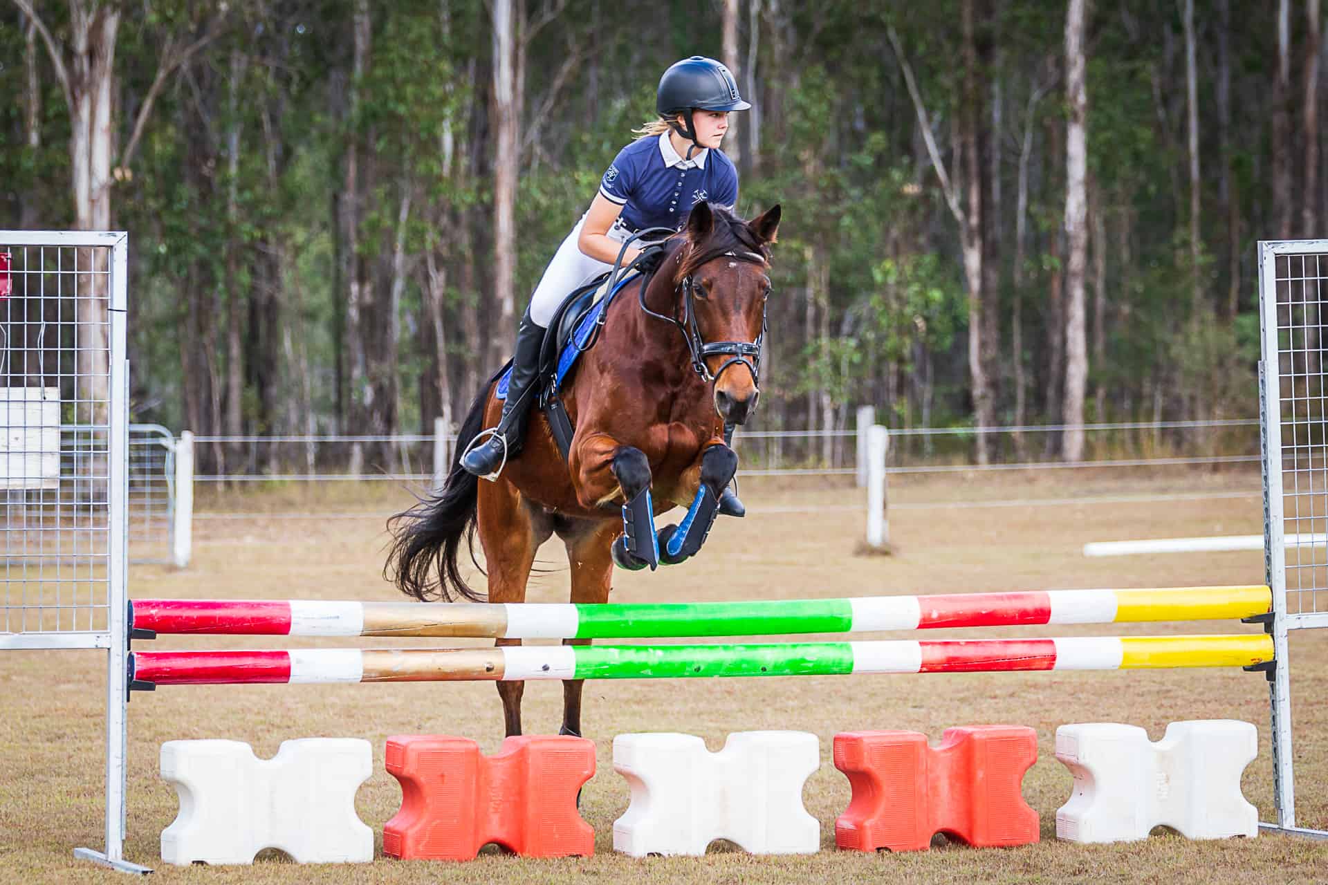 About the SAQ - Standardbred Association Queensland