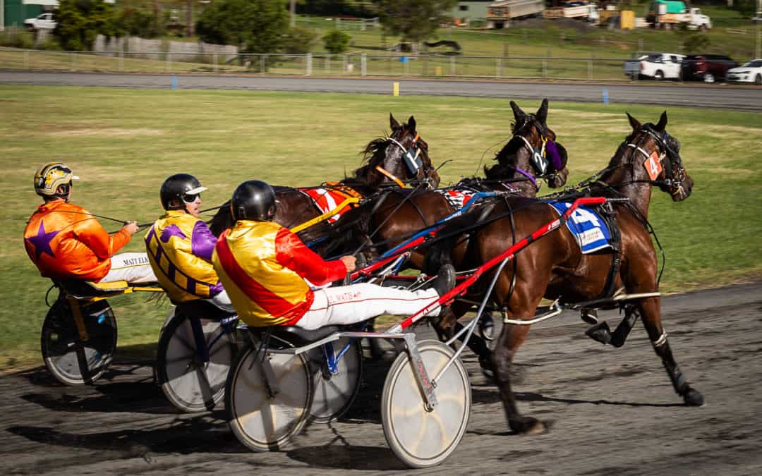 2024/25 SAQ Horse Placement Report