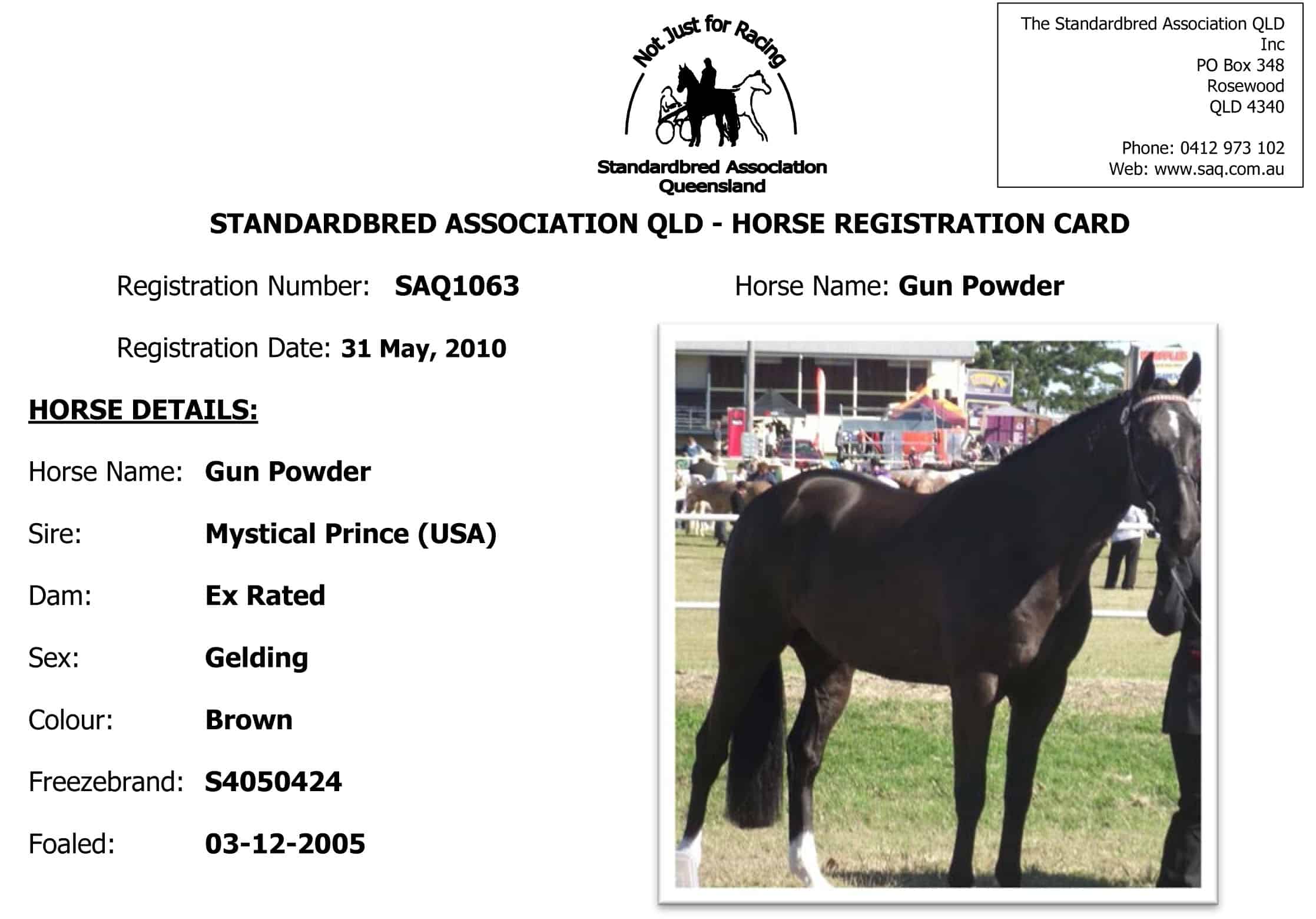 Register a Horse Standardbred Association Queensland