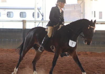 Maxine Murphy riding Standardbred horse "Factor"