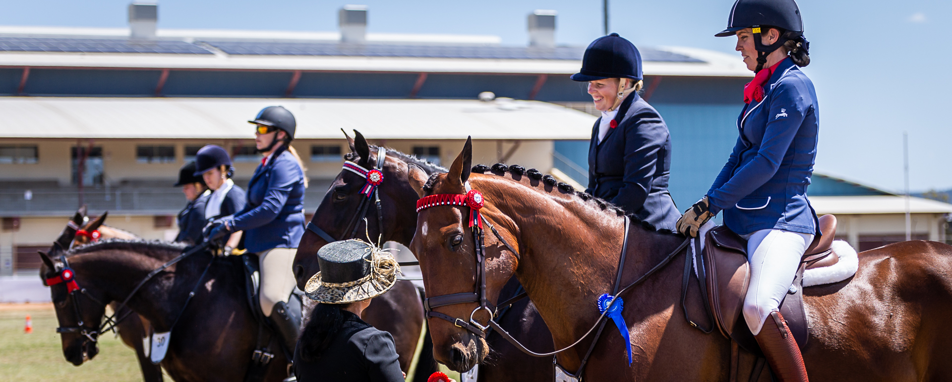 2021 SAQ State Hacking and Harness Championships - Standardbred horses lined up.