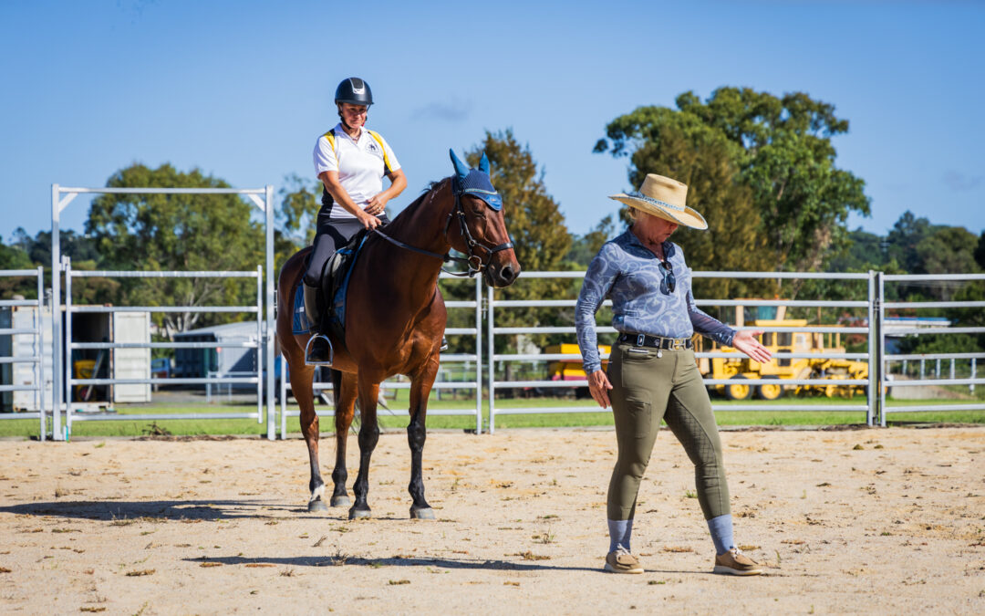SAQ 2024 Dressage Clinic: A successful day of learning and improvement