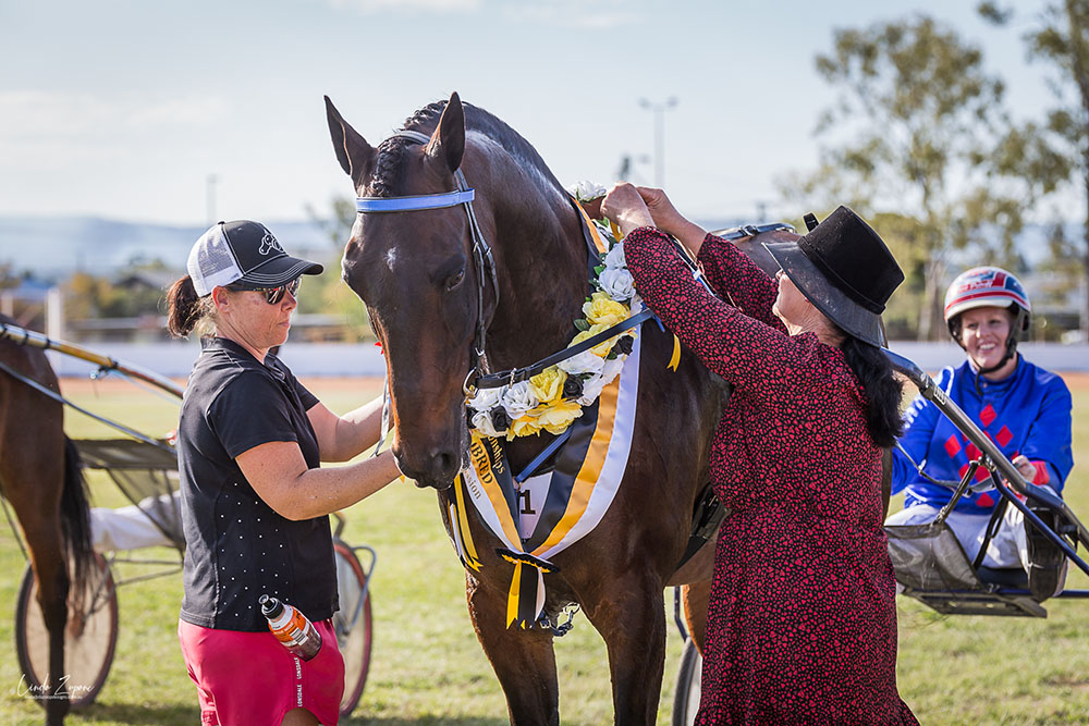 Standardbreds Take Centre Stage – 2025 State Hacking and Harness Championships